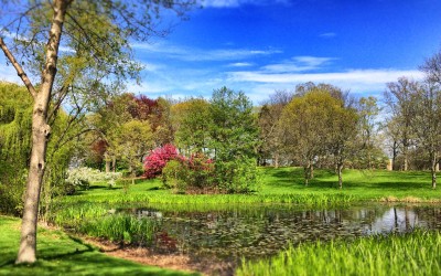 Humboldt Park’s Waters Are A Reflection Of A Rich Eco-History