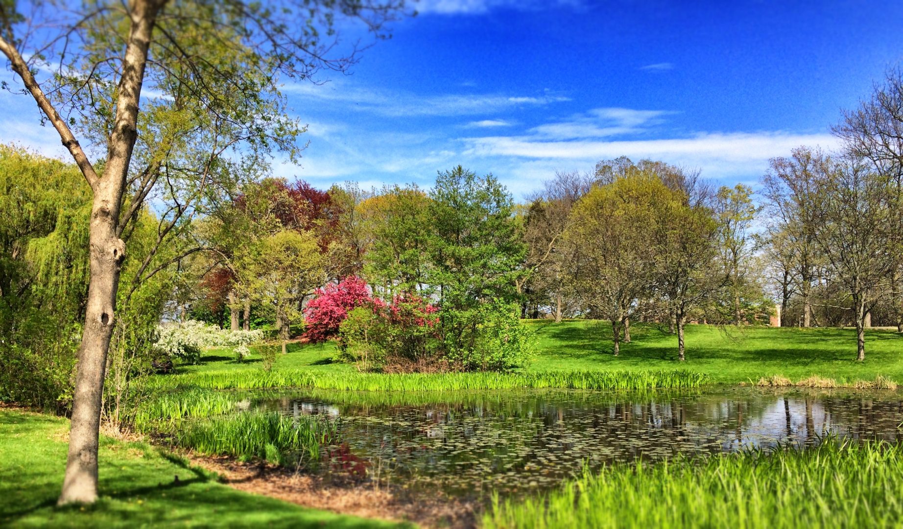 humboldt-park-clean-up