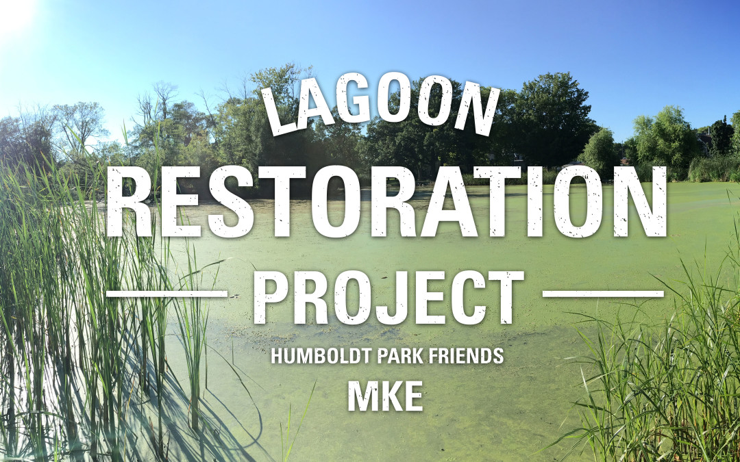 The Humboldt Park Lagoon needs some love from the Bay View community!