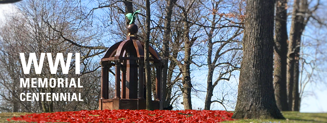 500 Students to Honor 22 Area Soldiers Killed in World War I By Planting Poppies in Humboldt Park on Friday, Nov. 9