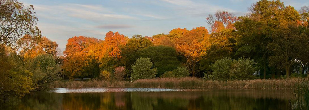 Humboldt Park Friends 2019 Annual Report
