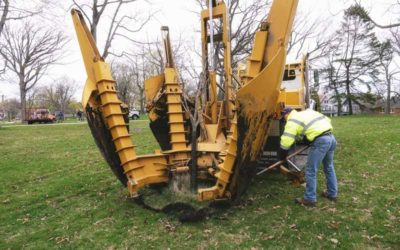 Parks Department Begins Replacing Humboldt Park Trees