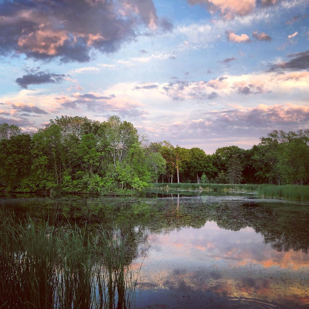 Humboldt Park Lagoon