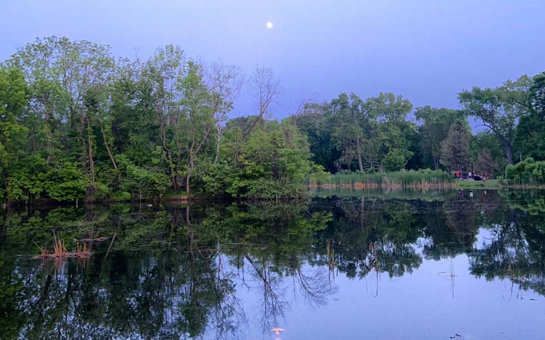 Celebrating a Year at Humboldt Park—Together, We Can Thrive