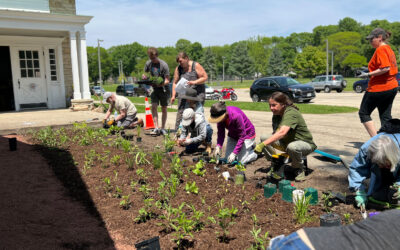 Support the Pollinators Bringing Life to Our Park